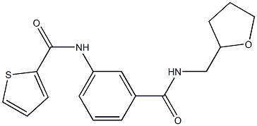 N-(3-{[(tetrahydrofuran-2-ylmethyl)amino]carbonyl}phenyl)thiophene-2-carboxamide 结构式