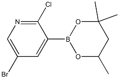 5-Bromo-2-chloro-3-(4,4,6-trimethyl-1,3,2-dioxaborinan-2-yl)pyridine 结构式