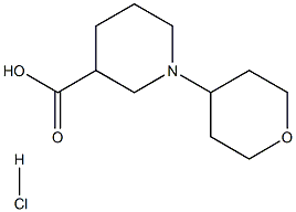 1-(tetrahydro-2H-pyran-4-yl)piperidine-3-carboxylic acid hydrochloride 结构式