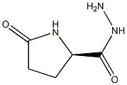 (2R)-5-Oxopyrrolidine-2-carbohydrazide 结构式