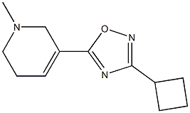 3-Cyclobutyl-5-[(1,2,5,6-tetrahydro-1-methylpyridin)-3-yl]-1,2,4-oxadiazole 结构式
