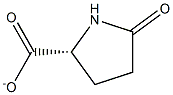 (5R)-2-Oxopyrrolidine-5-carboxylic acidanion 结构式