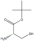 L-Cysteine tert-butyl ester 结构式