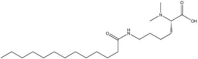 N6-Tridecanoyl-N2,N2-dimethyllysine 结构式