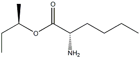 (R)-2-Aminohexanoic acid (S)-1-methylpropyl ester 结构式