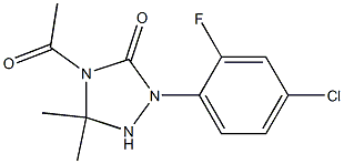 1-(2-Fluoro-4-chlorophenyl)-3,3-dimethyl-4-acetyl-1,2,4-triazolidin-5-one 结构式