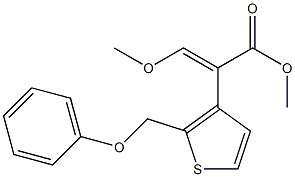 (E)-3-Methoxy-2-[2-(phenoxymethyl)thiophen-3-yl]acrylic acid methyl ester 结构式