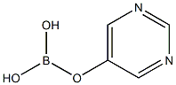 5-嘧定硼酸 结构式