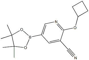 2-cyclobutoxy-5-(4,4,5,5-tetramethyl-1,3,2-dioxaborolan-2-yl)pyridine-3-carbonitrile 结构式
