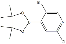 5-Bromo-2-chloro-4-(4,4,5,5-tetramethyl-1,3,2-dioxaborolan-2-yl)pyridine 结构式