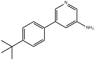 5-(4-TERT-BUTYLPHENYL)PYRIDIN-3-AMINE 结构式