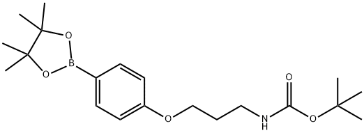 4-(3-(叔-丁氧基羰基氨基)丙氧基)苯基硼酸频呢醇 结构式