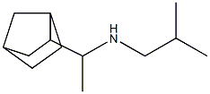 (1-{bicyclo[2.2.1]heptan-2-yl}ethyl)(2-methylpropyl)amine 结构式