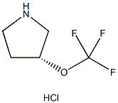 (R)-3-(三氟甲氧基)吡咯烷盐酸盐 结构式