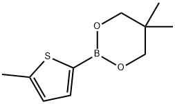 5-甲基噻吩-2-硼酸新戊二醇酯 结构式
