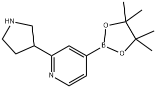 4-(4,4,5,5-tetraMethyl-1,3,2-dioxaborolan-2-yl)-2-(pyrrolidin-3-yl)pyridine 结构式