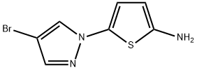 4-Bromo-1-(5-amino-2-thienyl)pyrazole 结构式
