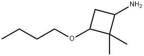 3-丁氧基-2,2-二甲基环丁烷-1-胺 结构式