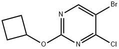 4-Chloro-5-bromo-2-(cyclobutoxy)pyrimidine 结构式