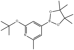 2-Methyl-6-(tert-butoxy)pyridine-4-boronic acid pinacol ester 结构式