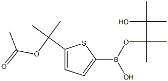 2-(5-(羟基((3-羟基-2,3-二甲基丁烷-2-基)氧基)硼烷基)噻吩-2-基)丙烷-2-基乙酸 结构式