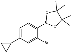2-(2-bromo-4-cyclopropylphenyl)-4,4,5,5-tetramethyl-1,3,2-dioxaborolane 结构式