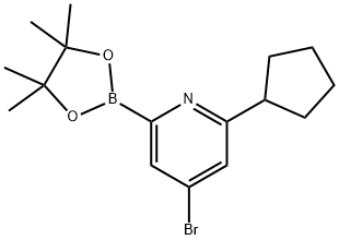 4-Bromo-6-(cyclopentyl)pyridine-2-boronic acid pinacol ester 结构式