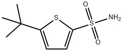 5-叔丁基噻吩-2-磺酰胺 结构式