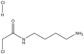 N(4-氨基丁基)-2-氯乙酰胺盐酸盐 结构式