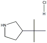 3-(叔-丁基)吡咯烷盐酸 结构式