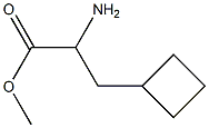 2-氨基-3-环丁基丙酸甲酯 结构式