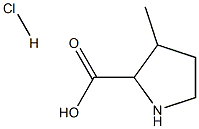 3-甲基吡咯烷-2-羧酸盐酸 结构式