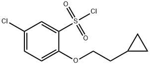 5-氯-2-(2-环丙基乙氧基)苯-1-磺酰氯 结构式