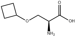 (2S)-3-cyclobutoxy-2-({[(9H-fluoren-9-yl)methoxy]carbonyl}amino)propanoic acid 结构式