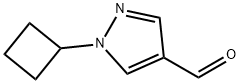 1-cyclobutyl-1H-pyrazole-4-carbaldehyde 结构式