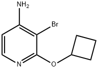 4-AMINO-3-BROMO-2-(CYCLOBUTOXY)PYRIDINE 结构式