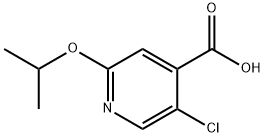 5-Chloro-2-(propan-2-yloxy)pyridine-4-carboxylic acid 结构式