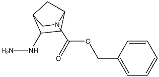 benzyl 5-hydrazinyl-2-azabicyclo[2.2.1]heptane-2-carboxylate 结构式