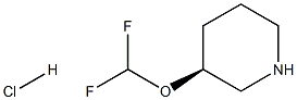 (S)-3-(difluoromethoxy)piperidine hydrochloride 结构式