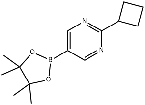 2-cyclobutyl-5-(4,4,5,5-tetramethyl-1,3,2-dioxaborolan-2-yl)pyrimidine 结构式