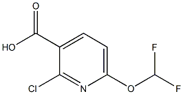 2-氯-6-(二氟甲氧基)烟酸 结构式