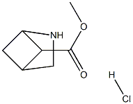 methyl 2-azabicyclo[2.1.1]hexane-5-carboxylate hydrochloride 结构式