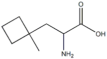 2-amino-3-(1-methylcyclobutyl)propanoic acid 结构式