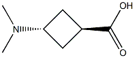 trans-3-(dimethylamino)cyclobutane-1-carboxylic acid 结构式