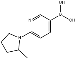 (6-(2-methylpyrrolidin-1-yl)pyridin-3-yl)boronic acid 结构式