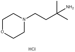 2-甲基-4-(吗啉-4-基)丁烷-2-胺二盐酸 结构式