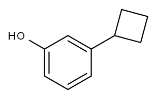 3-环丁基苯酚 结构式