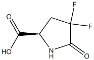 (R)-4,4-difluoro-5-oxopyrrolidine-2-carboxylic acid 结构式