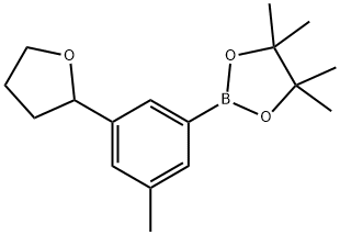 3-Methyl-5-(2-tetrahydrofuranyl)phenylboronic acid pinacol ester 结构式