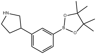 3-(Pyrrolidin-3-yl)phenylboronic acid pinacol ester 结构式